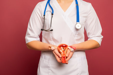 doctor woman holds model of female reproductive system in the hands. Help and care conceptの写真素材