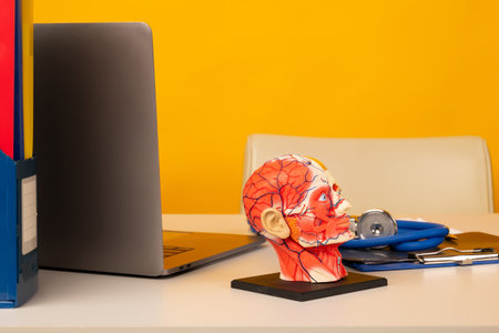 Laptop, stethoscope and model of human head on tableの写真素材