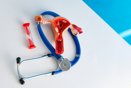 Healthcare and medical concept human female reproductive system and hourglassの写真素材
