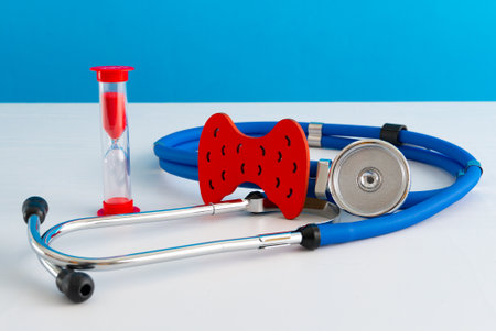 Anatomical model human thyroid gland closeup with hourglass and stethoscope. High quality photoの写真素材