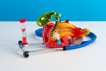 Healthcare and medical concept human pancreas and hourglassの写真素材