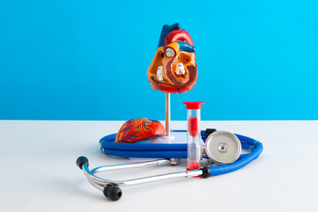 Healthcare and medical concept human heart and hourglassの写真素材