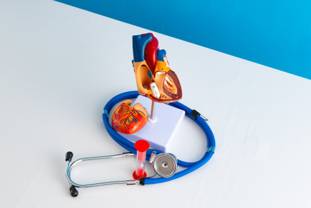 Healthcare and medical concept human heart and hourglassの写真素材
