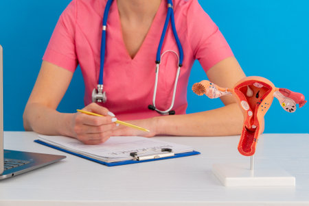 doctor gynecologist pointing model of female reproductive system on his desktopの写真素材
