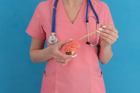 Female doctor is pointing pen anatomical model human brain. Help and care conceptの写真素材