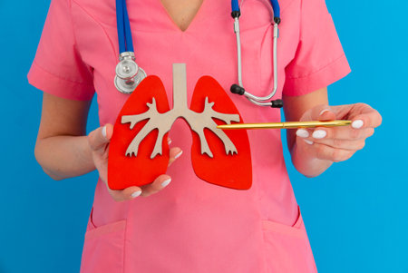 doctor showing pen on a anatomical model of human lungの写真素材