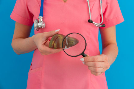Female doctor showing a model of human liver using magnifying glass. Early diagnosis and treatment.の写真素材