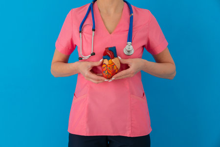 Cardiovascular disease CVD, doctor with heart human model anatomy for treatment patient in hospital.の写真素材