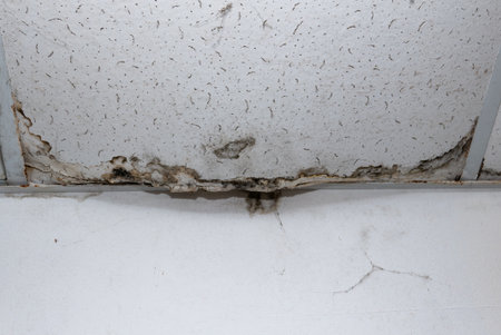 Flooding rainwater or floor heating systems, causing damage, peeling paint and mildew.