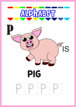 alphabet letter p is for pig. cute pig.のイラスト素材