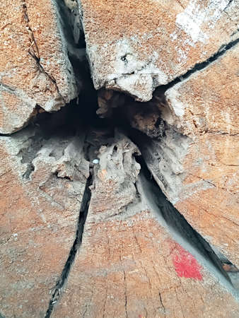 crack and hole in a wood. artistic background so beautifull.の写真素材