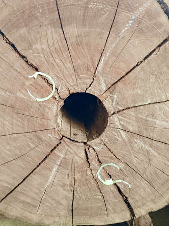 crack and hole in a wood. artistic background so beautifull.