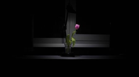 Flowers and vases on a bright night of lights at home.の写真素材