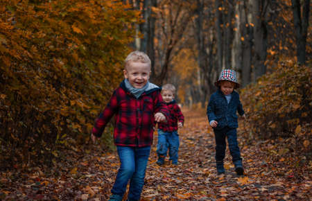 group of Caucasian preschoolers children in stylish clothes run in the autumn park. For various design purposes. Go ahead for the autumn discounts on the childrens collectionの写真素材