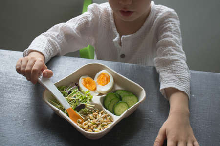 Close-up top view food - eggs, salad, a mixture of sprouted grains and seeds and vegetables. A faceless child sits at the table and eats wholesome food made from sprouted grains and eggs. Lifestyle.の写真素材