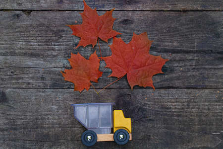 The toy car truck brought back autumn maple leaves. Top view on a wooden background. Autumn and childhood concept. Octoberの写真素材