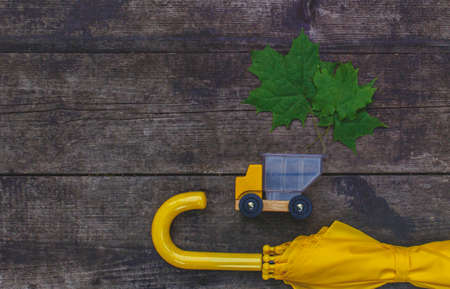 The toy car truck brought back autumn maple leaves. Top view on a wooden background. Autumn and childhood concept. Octoberの写真素材