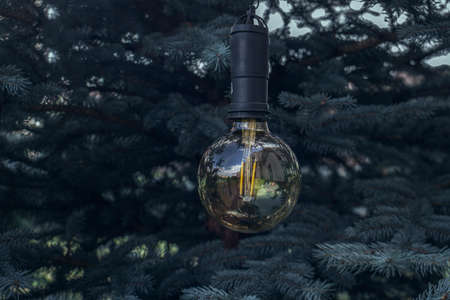 An extinct lightbulb hangs on the branches of a fir in the evening. The light is off. No electricity. Retro or steampunk style Christmas decorationの写真素材