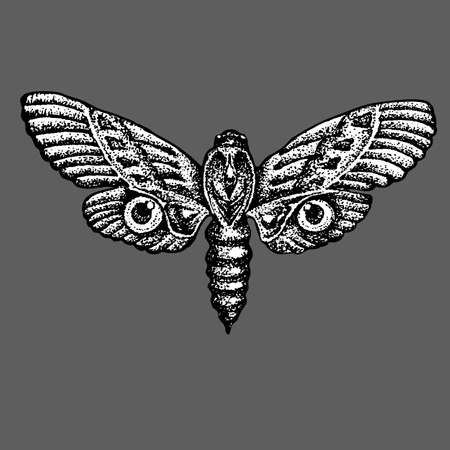 Vector dotwork black and white butterfly isolated on gray backgroundのイラスト素材