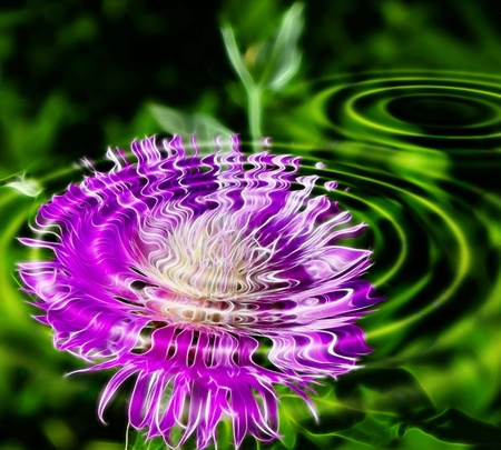 Plants under waterの写真素材