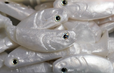 Fishing lure siliconeの写真素材