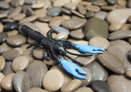 Fishing Lureの写真素材