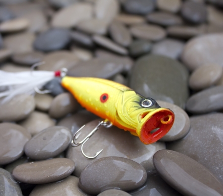 Fishing Lure