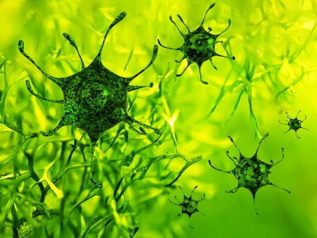 Bacteriaの写真素材