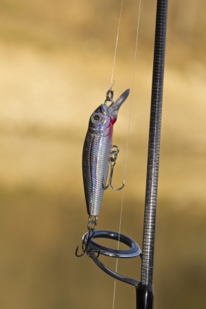 Spoon-baitの写真素材