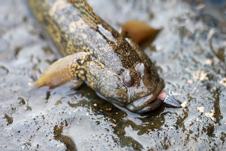 Fishingの写真素材