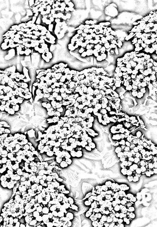 Abstraction patternの写真素材