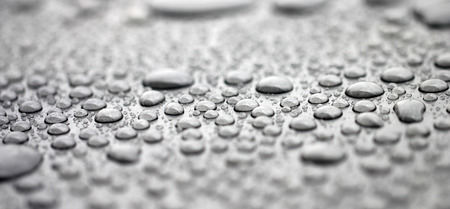 Raindropsの写真素材