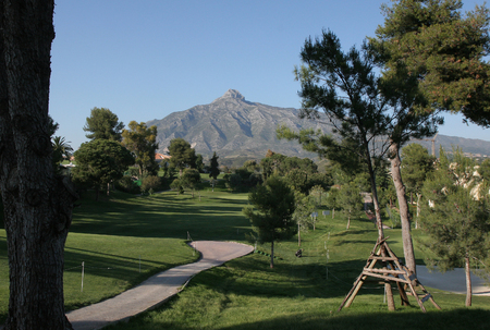 golf course with fairway and greenの写真素材