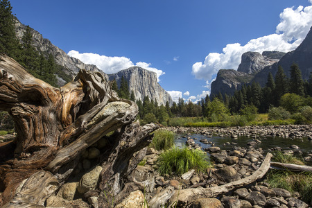 World famous rock climbing wall of El Capitan, Yosemite national park, California, usaの写真素材