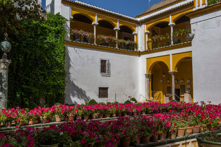 SEVILLE, ANDALUSIA, SPAIN, MAY 24, 2017 : interiors and details of Casa de Pilatos, may 24, 2017, in Seville, andalusia, spainのeditorial素材