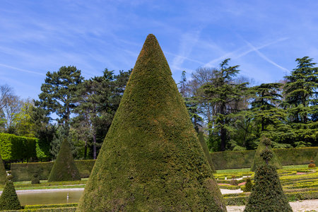 SCEAUX, FRANCE, APRIL 12, 2017 : gardens of chateau de Sceaux, in the park, april 12, 2017, in Sceaux, Franceのeditorial素材