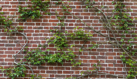 GERBEROY, FRANCE, APRIL 16,  2017 : old houses in typical Gerberoy village, april 16, 2017, in  Gerberoy, Oise, Franceのeditorial素材