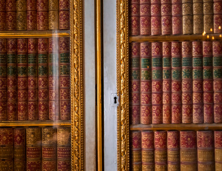 VERSAILLES FRANCE  JANUARY 06 : Interiors and details of the royal apartments of Versailles, near Paris, France.  january 06, 2018 in Versailles, Franceのeditorial素材