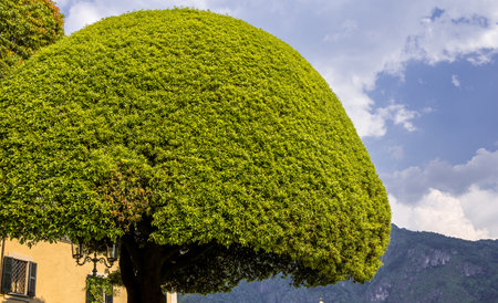 LENNO, ITALY, JUNE 04, 2019 : exteriors of villa del Balbianello, on lake Como, june 04, 2019, in Lenno, italyのeditorial素材