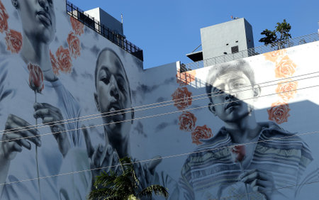 Wynwood walls , street art graffiti, Miami, Floridaのeditorial素材