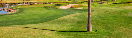 golf course , greens and fairways in californiaのeditorial素材