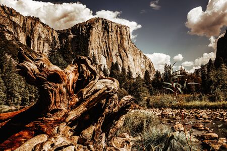 World famous rock climbing wall of El Capitan, Yosemite national park, California, usaの写真素材