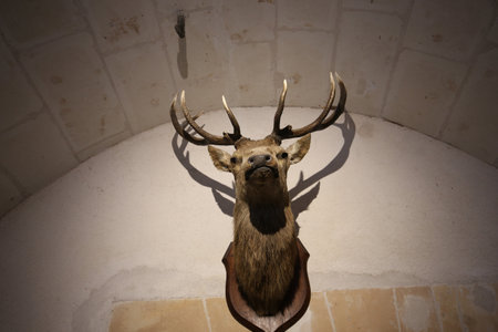 CHENONCEAUX, FRANCE, JULY 07, 2015 : interiors and architectural details of Chateau de Chenonceau, july 07, 2015, in Chenonceaux, Franceのeditorial素材