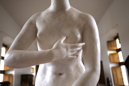 CHENONCEAUX, FRANCE, JULY 07, 2015 : interiors and architectural details of Chateau de Chenonceau, july 07, 2015, in Chenonceaux, Franceのeditorial素材