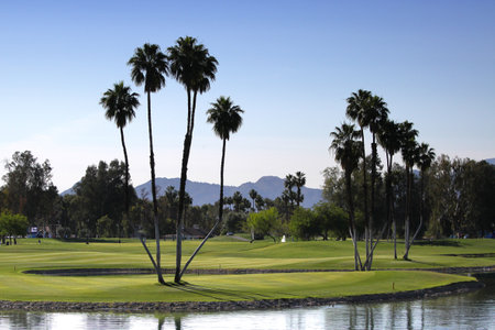 RANCHO MIRAGE, CALIFORNIA - APRIL 03, 2015: Gwladys Nocera of france at the ANA inspiration golf tournament on LPGA Tour, April 03, 2015 at The Mission Hills country club, Rancho Mirage, Californiaのeditorial素材