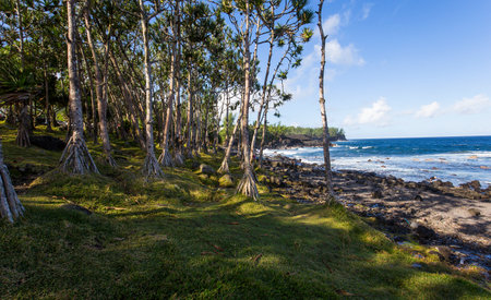 CAPE MECHANT, LA REUNION, FRANCE, APRIL 24: Cape Mechant coastline, La Reunion island, Indian Ocean, april 24, 2016, in Cape Mechant, La Reunion, Franceのeditorial素材