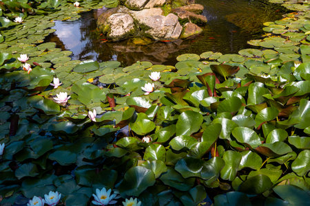 TREMEZZO, ITALY, JUNE 03, 2019: exteriors of villa Carlotta, on lake Como, june 03, 2019, in Tremezzo, italyのeditorial素材