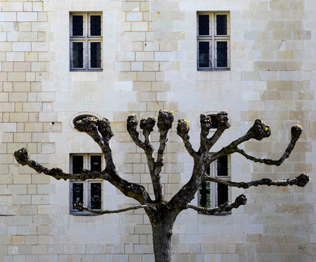 FONTEVRAUD, FRANCE APRIL 4, 2012: architectural details of Fontevraud Abbey, built between 1110 and 1119 in Loire valleyのeditorial素材