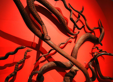 aboriginal sculptures from various australian artistsのeditorial素材