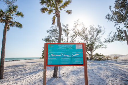 Coquina beach, Bradenton, Sarasota, Florida, USAの写真素材